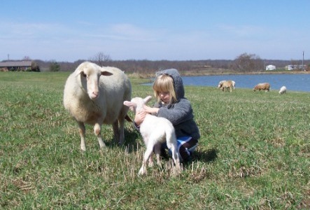 Anika with a newborn lamb